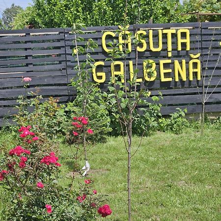 エフォリエ・ノルド Casuta Galbenaヴィラ エクステリア 写真