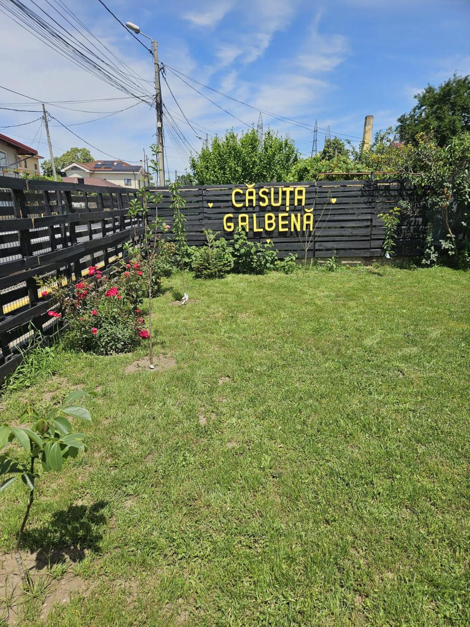エフォリエ・ノルド Casuta Galbenaヴィラ エクステリア 写真
